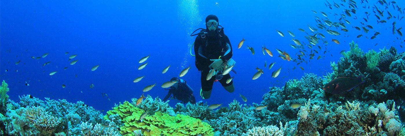 Scuba Diving Tours