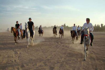 tours from sharm el sheikh to cairo