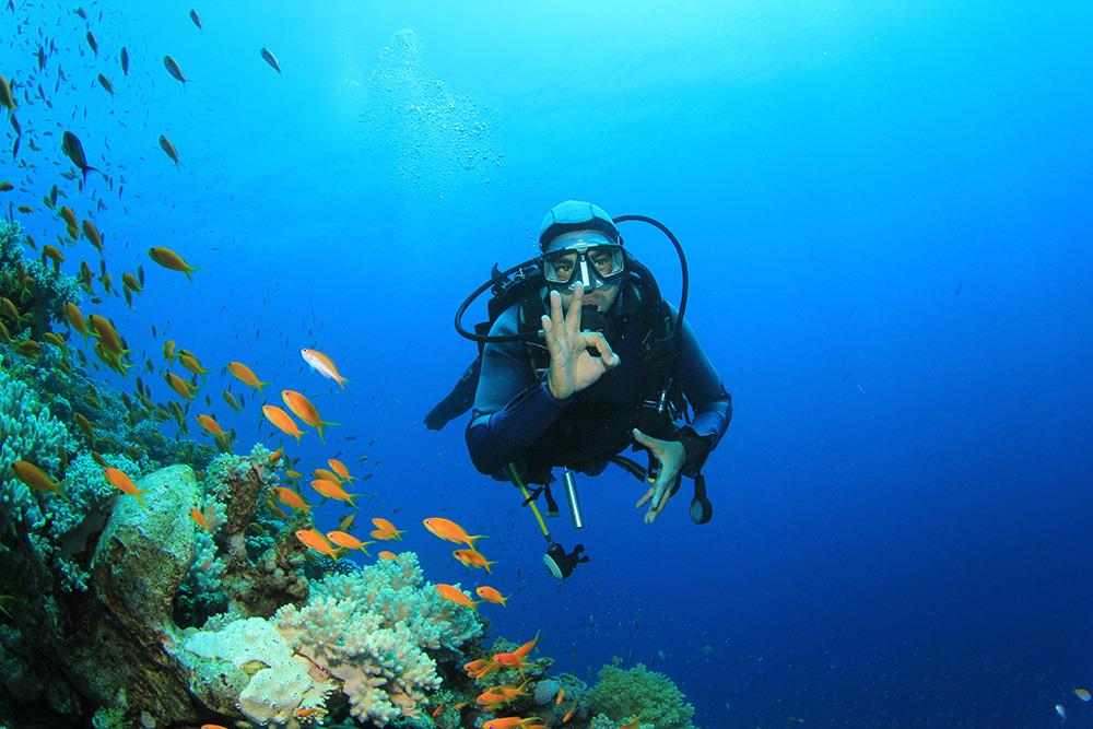 hurghada diving tour
